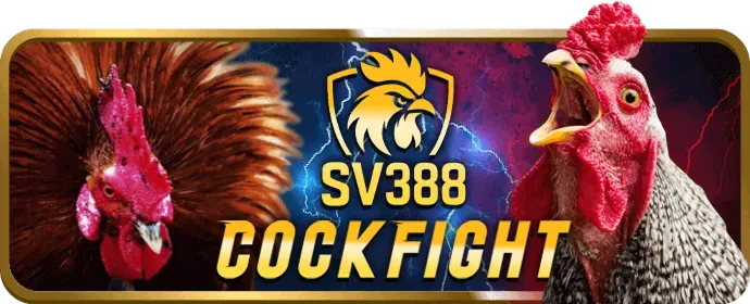 Các phương thức liên hệ 88nn123